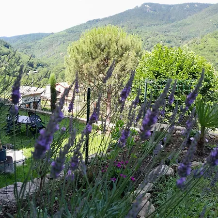 Appartement Que Canta